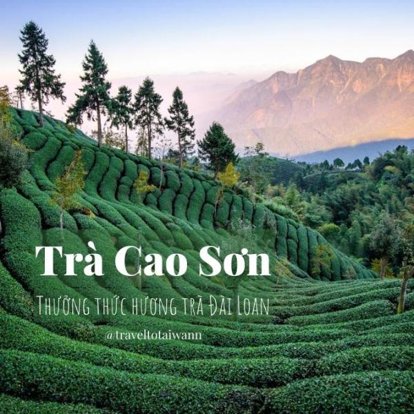 Trà Cao Sơn - Thưởng thức hương trà Đài Loan